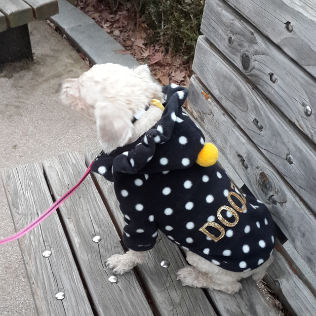 NEW DOG FASHION Puppy Clothes Dot Hoodie Winter Cl