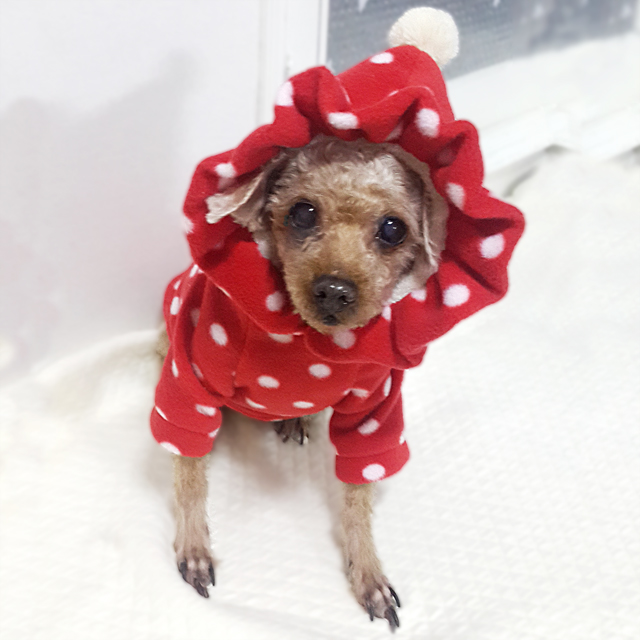 NEW DOG FASHION Puppy Clothes Dot Hoodie Winter Cl