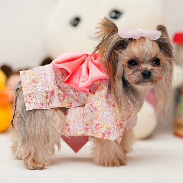 NEW DOG FASHION More than 10 types of sleeveless m