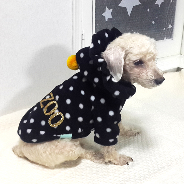 NEW DOG FASHION Puppy Clothes Dot Hoodie Winter Cl