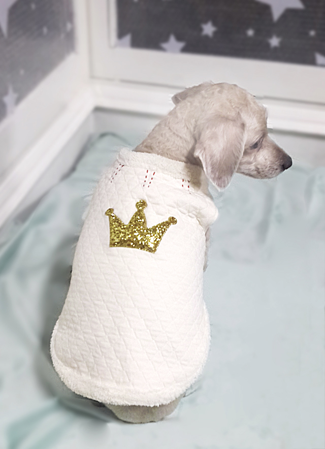 NEW DOG FASHION Puppy winter clothing Nubim fur co