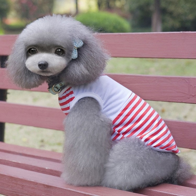NEW DOG FASHION More than 10 types of sleeveless m