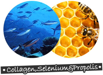 NEW PET DOG FEED Tuppet performance for all ages 1