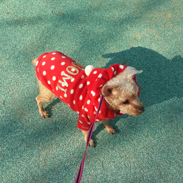 NEW DOG FASHION Puppy Clothes Dot Hoodie Winter Cl
