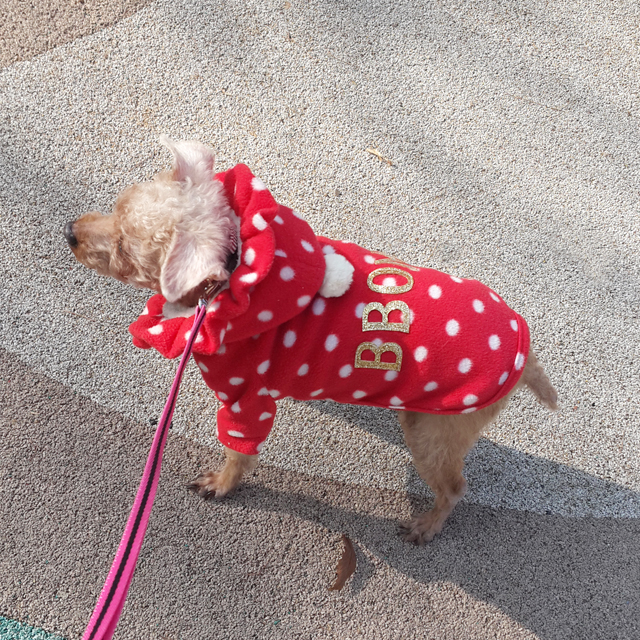 NEW DOG FASHION Puppy Clothes Dot Hoodie Winter Cl