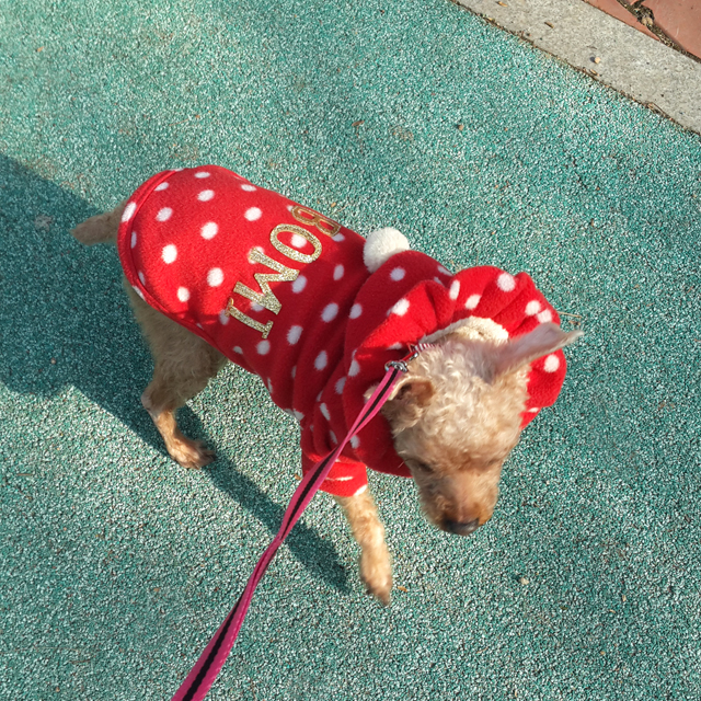 NEW DOG FASHION Puppy Clothes Dot Hoodie Winter Cl