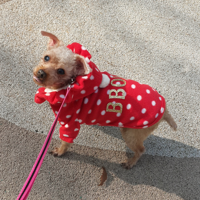 NEW DOG FASHION Puppy Clothes Dot Hoodie Winter Cl