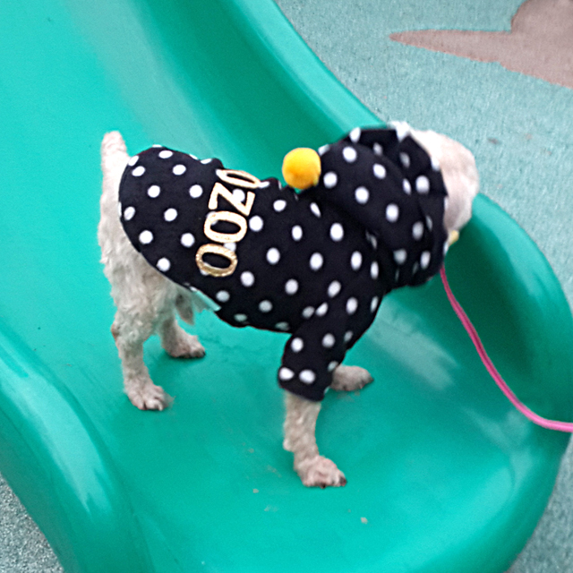 NEW DOG FASHION Puppy Clothes Dot Hoodie Winter Cl