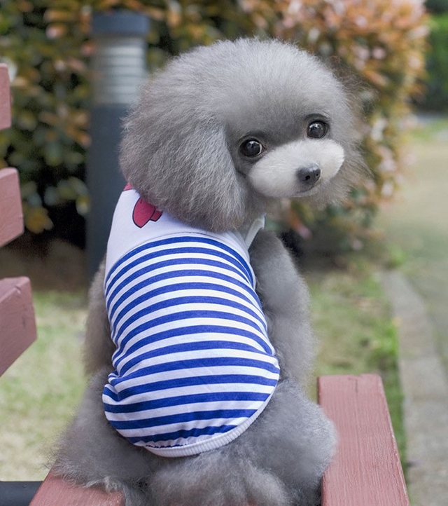 NEW DOG FASHION More than 10 types of sleeveless m