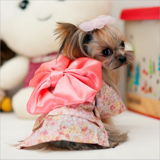 NEW DOG FASHION More than 10 types of sleeveless m