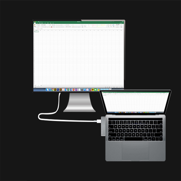 Verbatim Dual C Type Charging Hub for Apple MacBoo