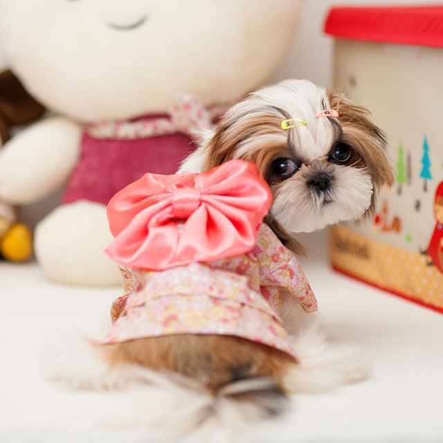 NEW DOG FASHION More than 10 types of sleeveless m