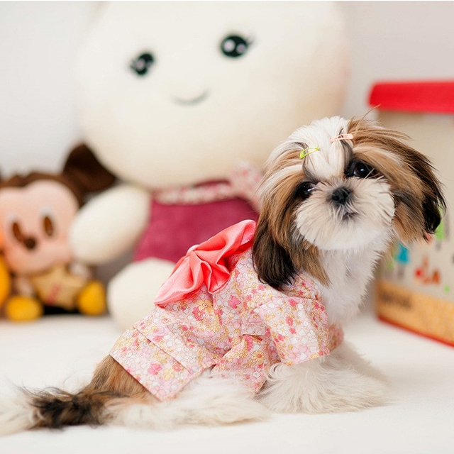 NEW DOG FASHION More than 10 types of sleeveless m