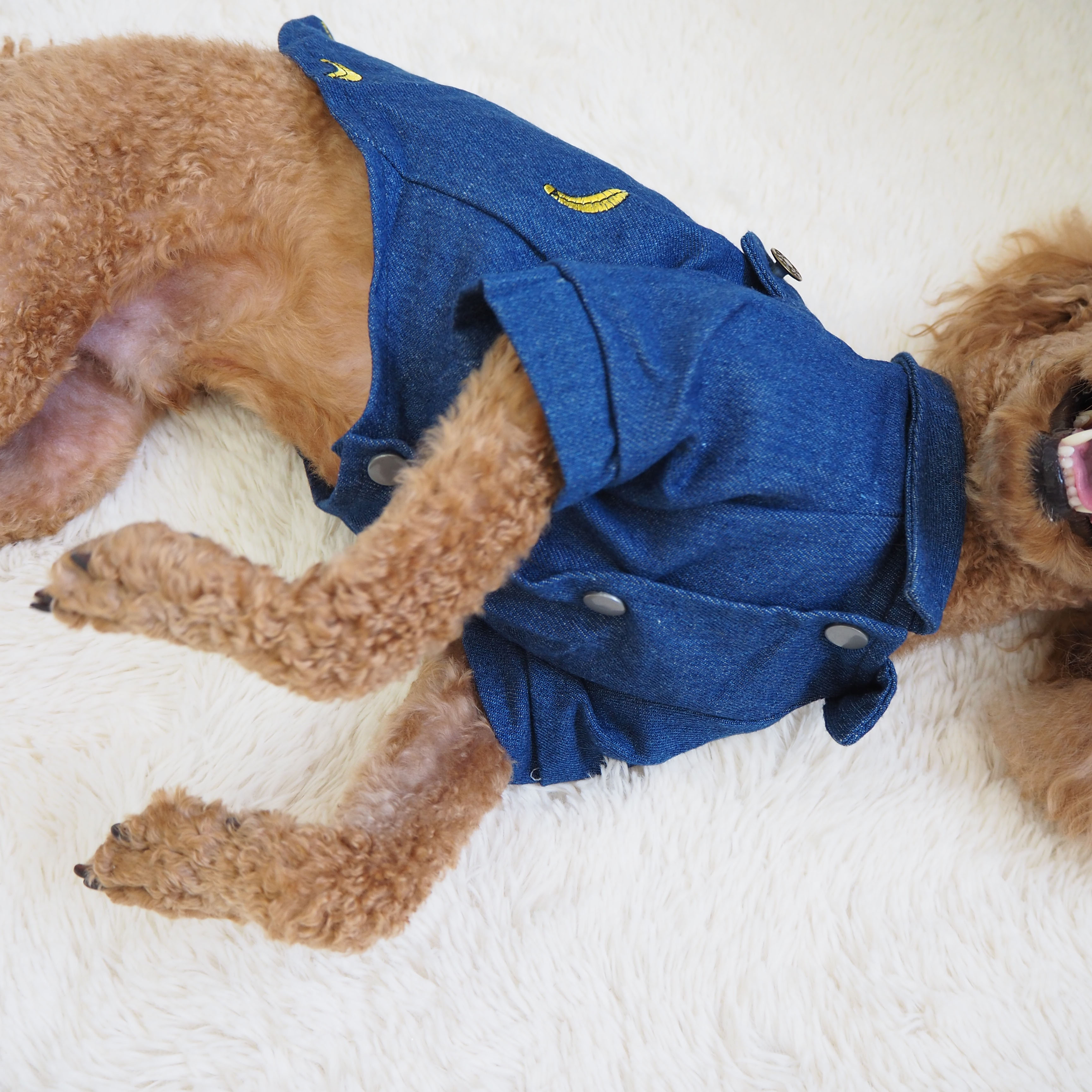 NEW DOG FASHION banana embroidery blue south denim
