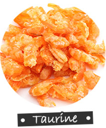 NEW PET DOG FEED Tuppet performance for all ages 1