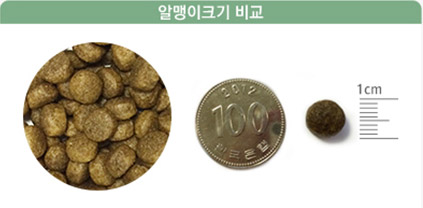 NEW PET DOG FEED Tuppet performance for all ages 1