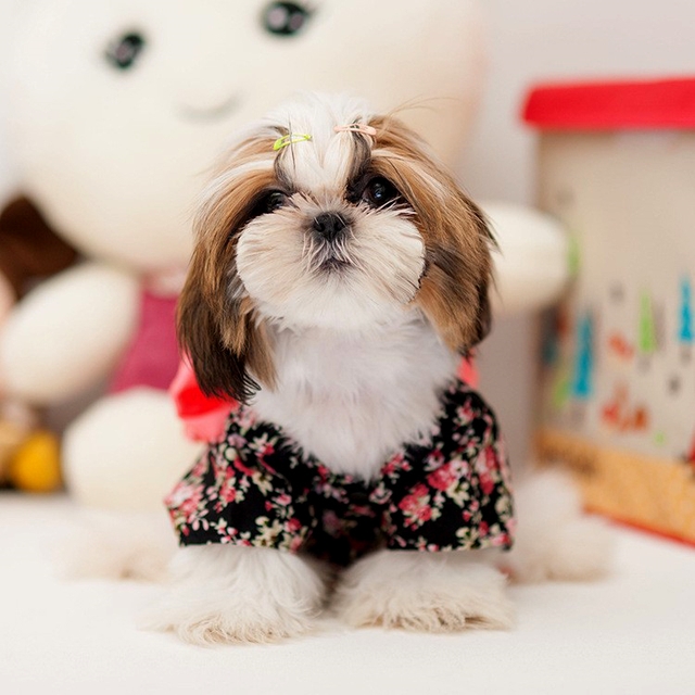 NEW DOG FASHION More than 10 types of sleeveless m