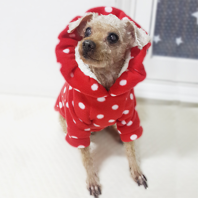 NEW DOG FASHION Puppy Clothes Dot Hoodie Winter Cl