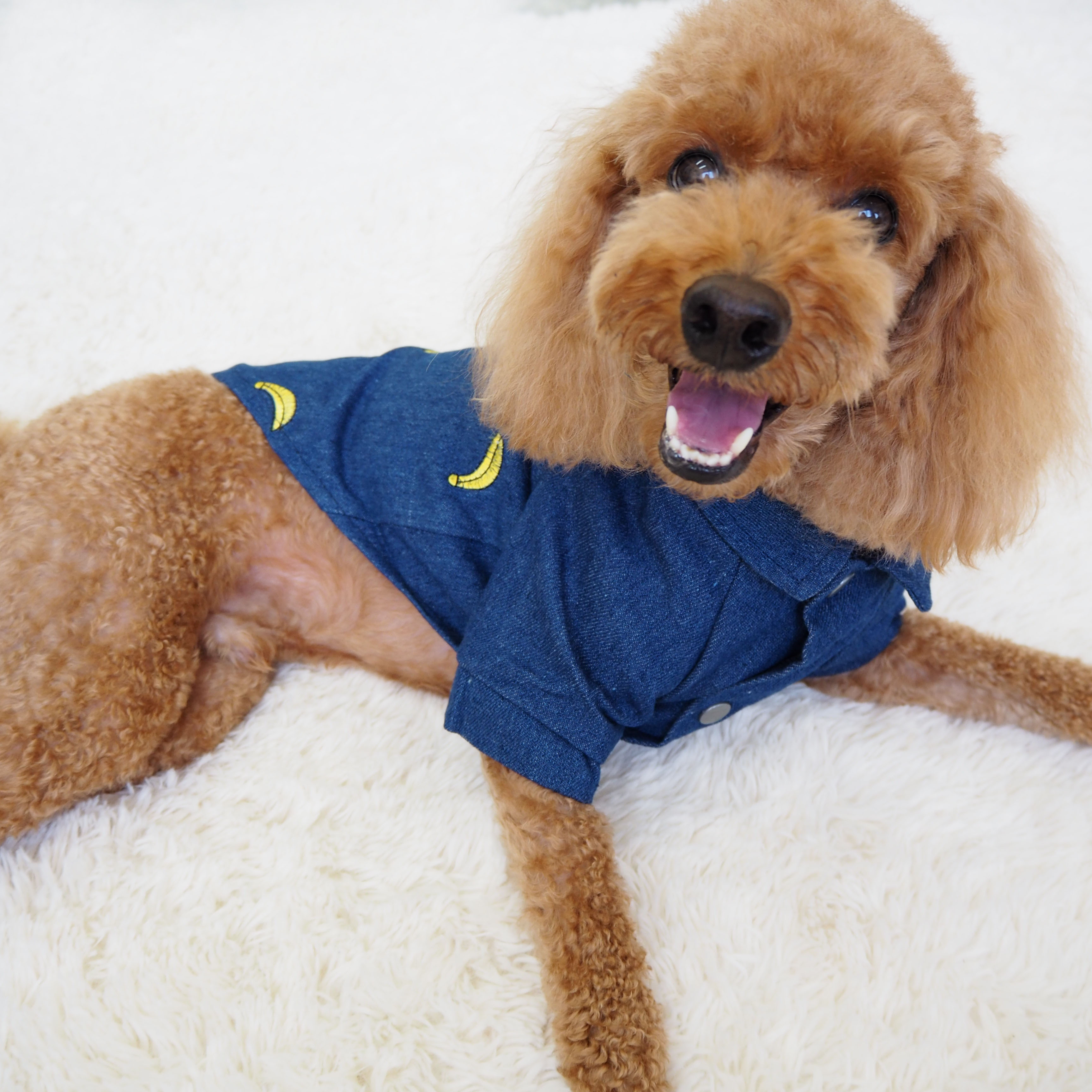 NEW DOG FASHION banana embroidery blue south denim