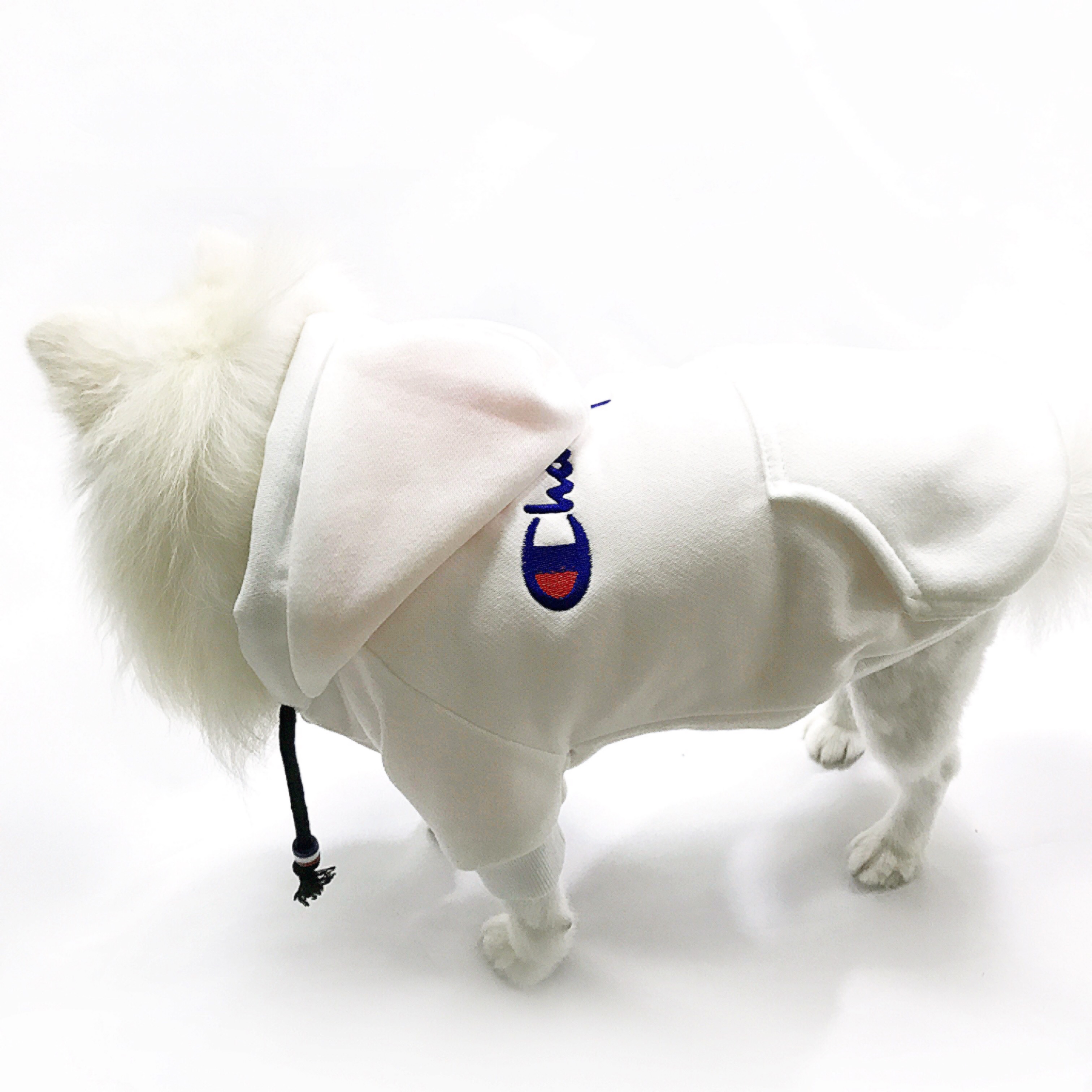 NEW DOG FASHION Champion ST hood jumper S ~ XL Pun