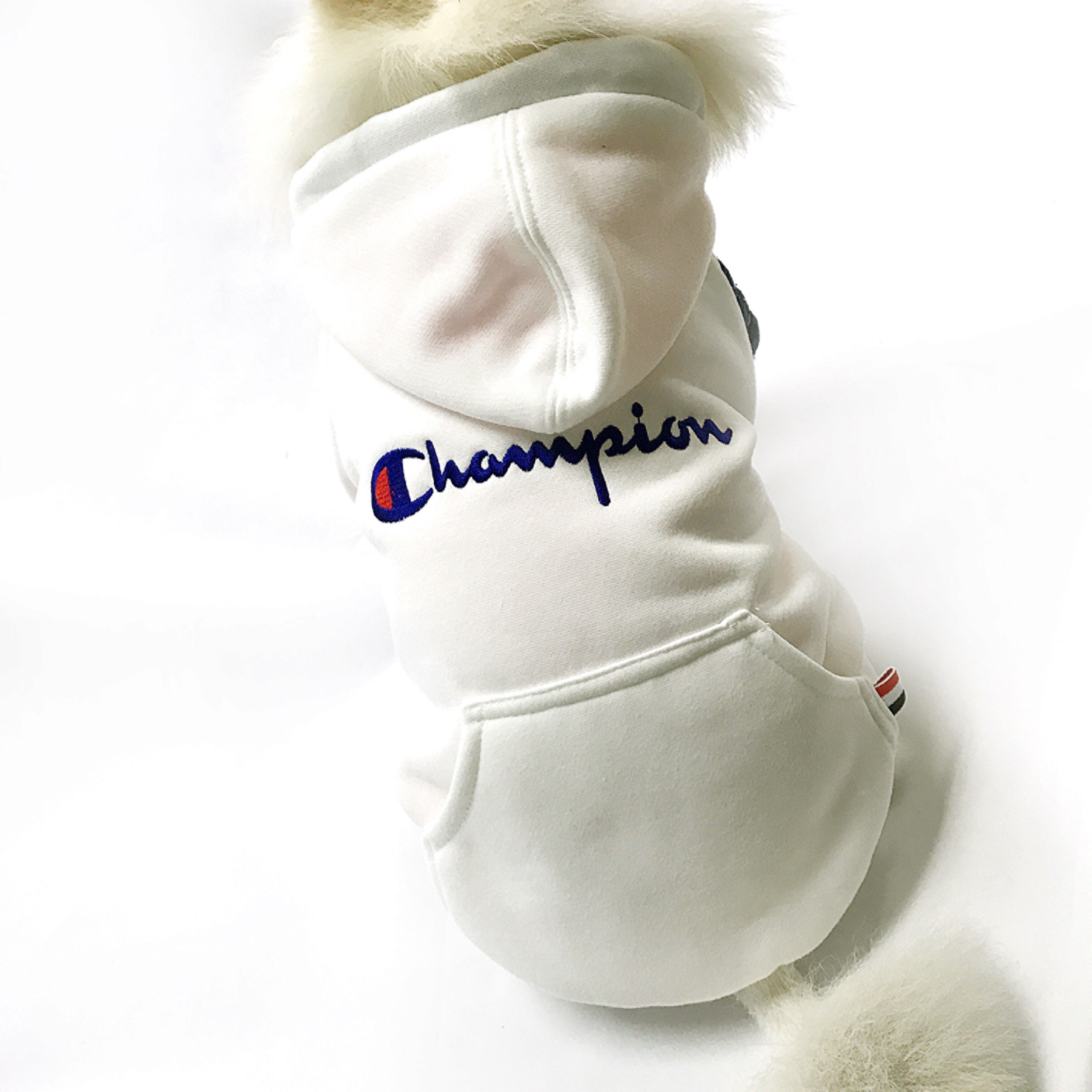NEW DOG FASHION Champion ST hood jumper S ~ XL Pun