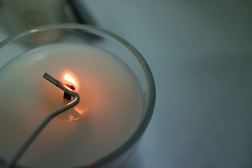 NEW CANDLE Animal care products for cat litter pet