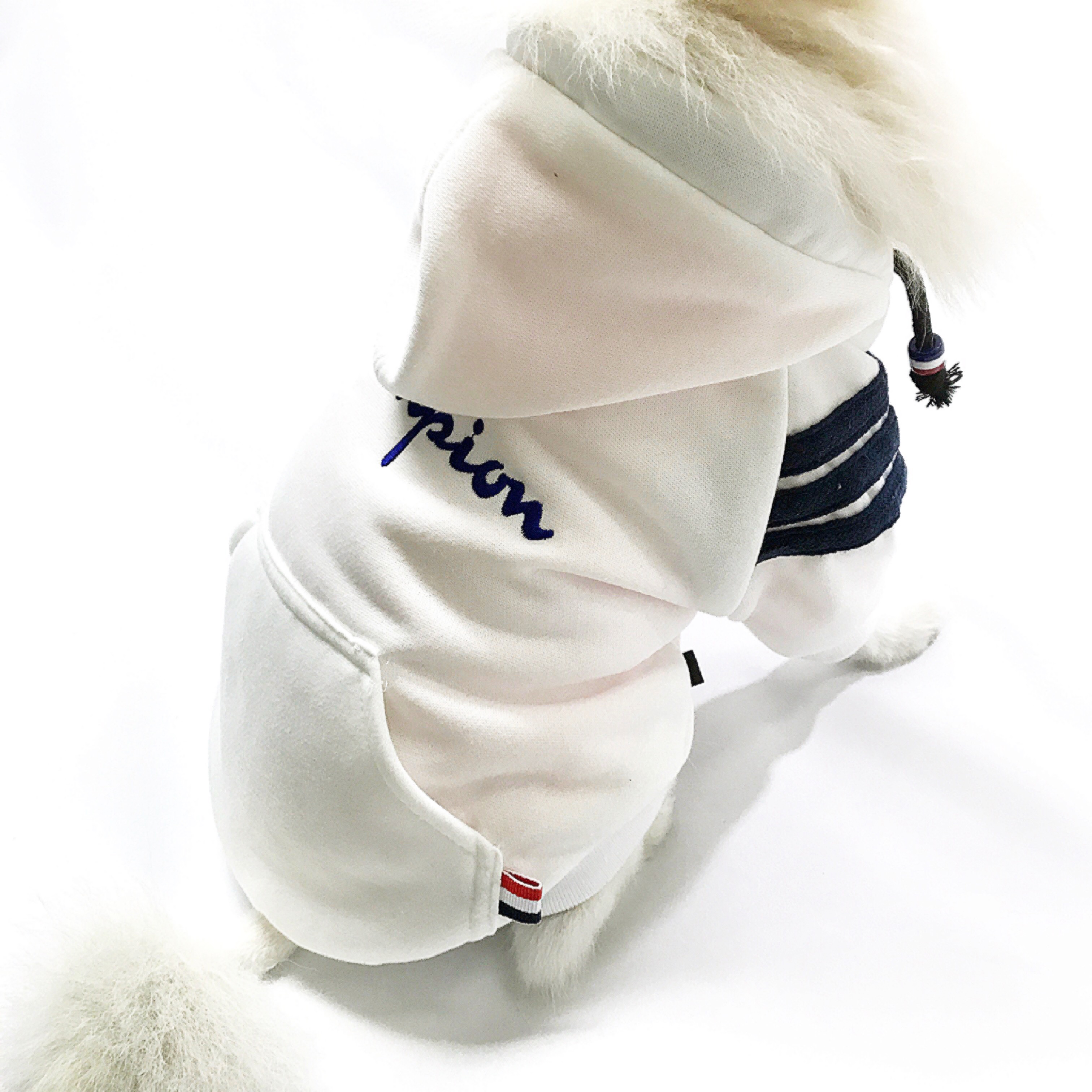 NEW DOG FASHION Champion ST hood jumper S ~ XL Pun
