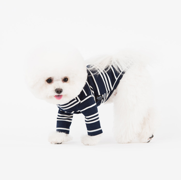 NEW DOG FASHION Sneakers Striped Birdies Turtlenec