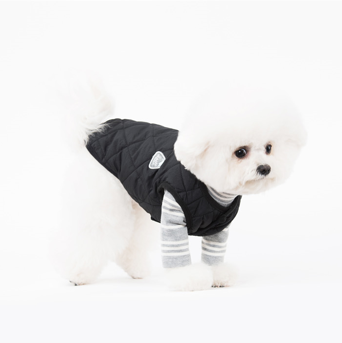NEW DOG FASHION Sneaky Stripe Birdie Turtleneck Po