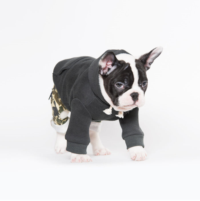 NEW DOG FASHION Sniff Basic Hooded T-shirt Gray Pu