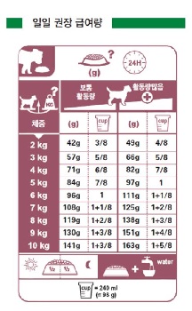 NEW PET DOG FEED Royal Canine Mini Indoor Adult Ca