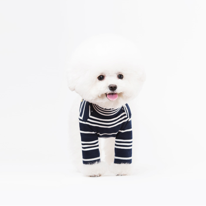 NEW DOG FASHION Sneakers Striped Birdies Turtlenec