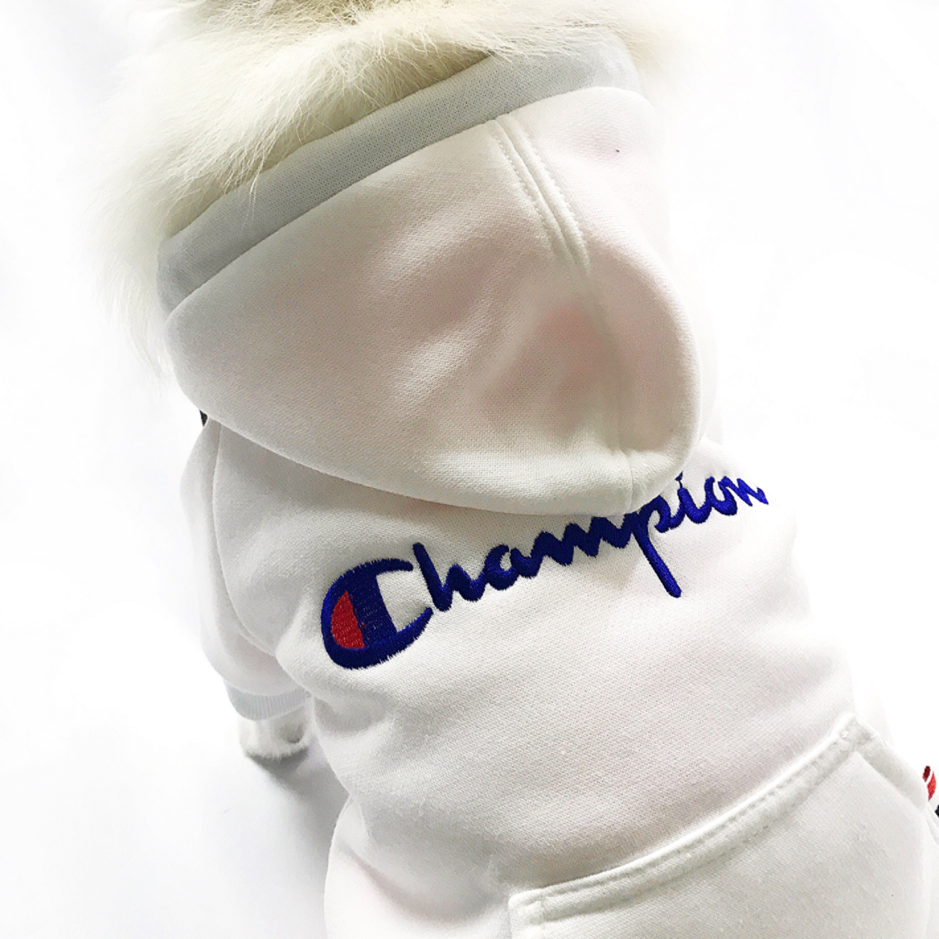 NEW DOG FASHION Champion ST hood jumper S ~ XL Pun