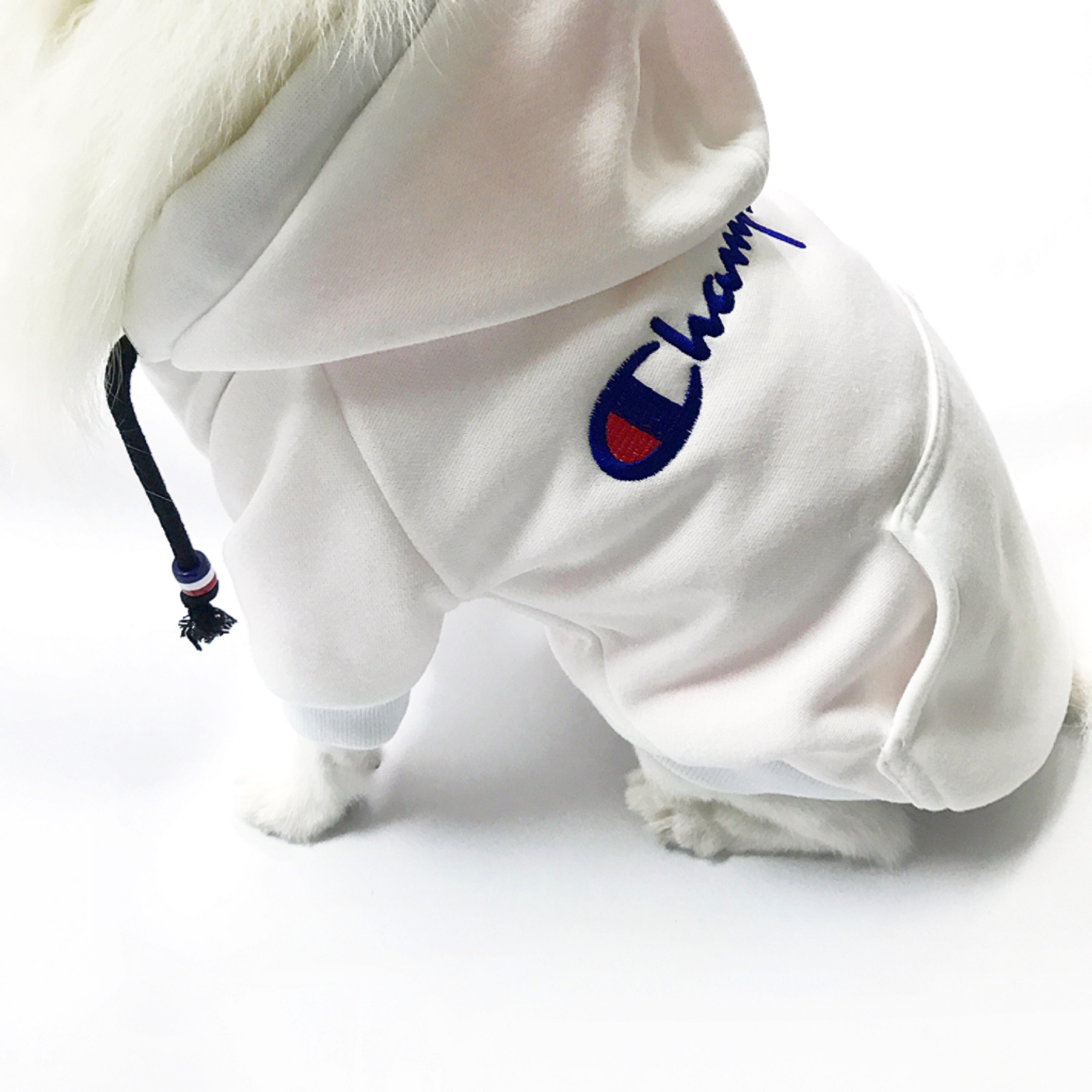 NEW DOG FASHION Champion ST hood jumper S ~ XL Pun