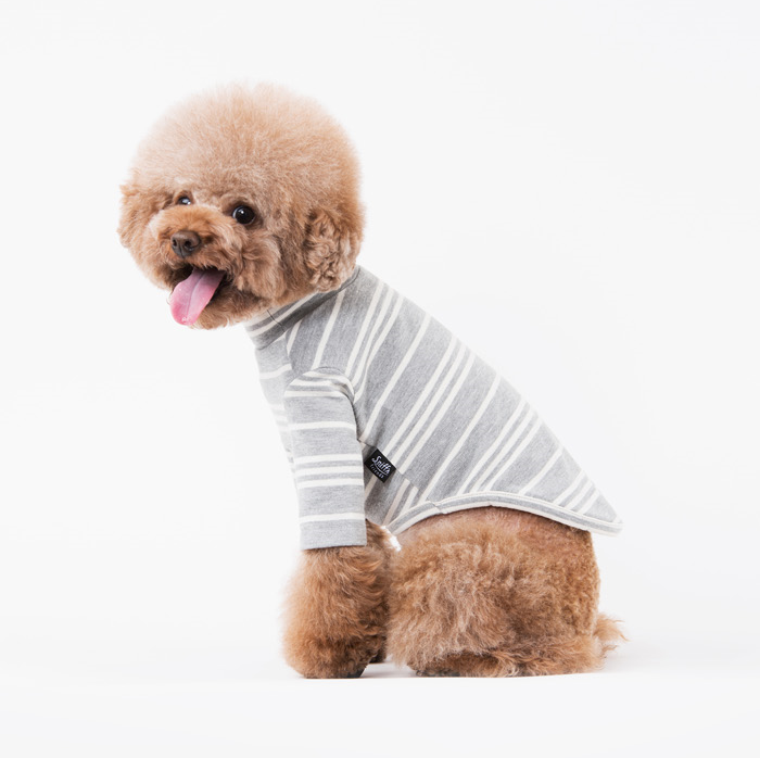 NEW DOG FASHION Sneaky Stripe Birdie Turtleneck Po