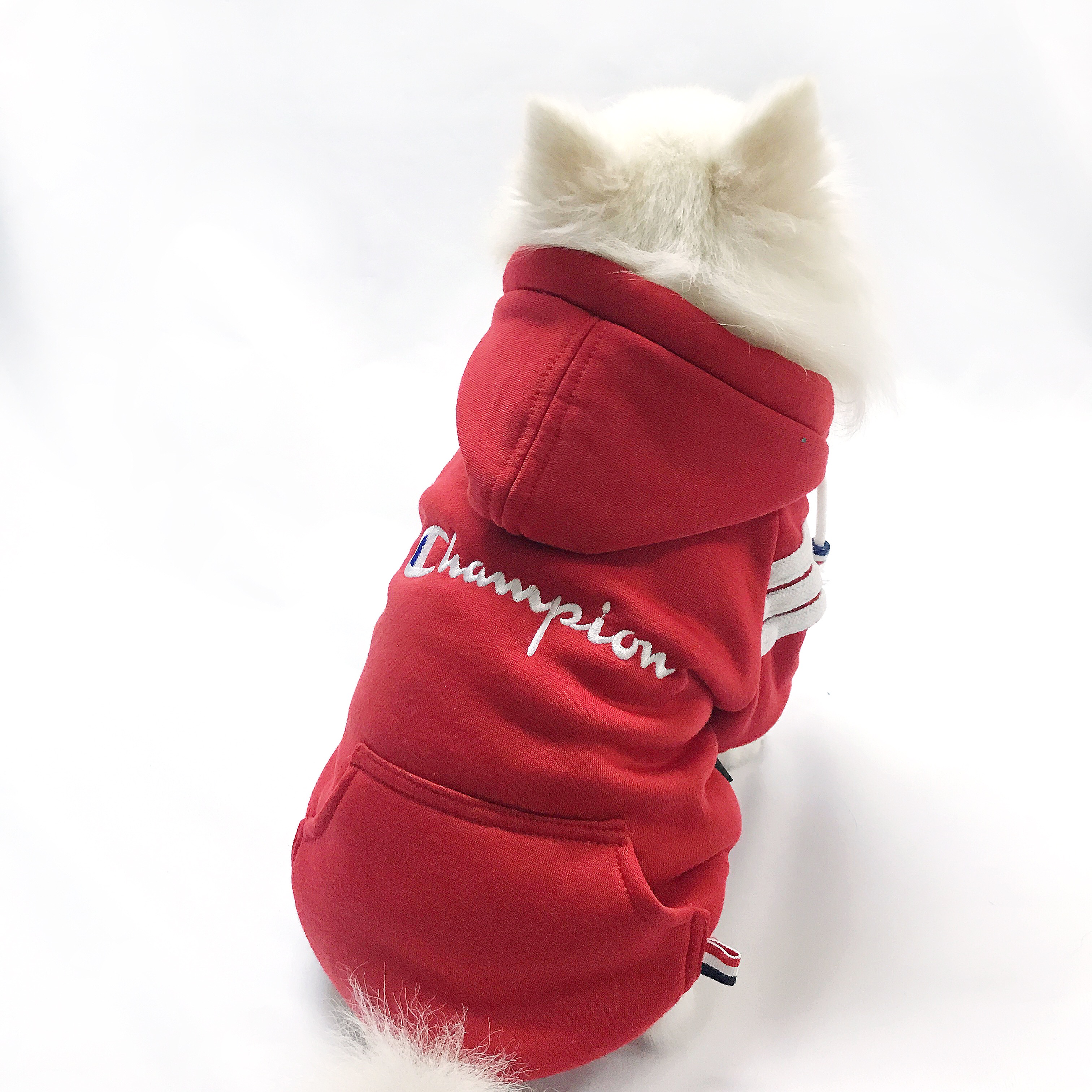 NEW DOG FASHION Champion ST hood jumper S ~ XL Pun