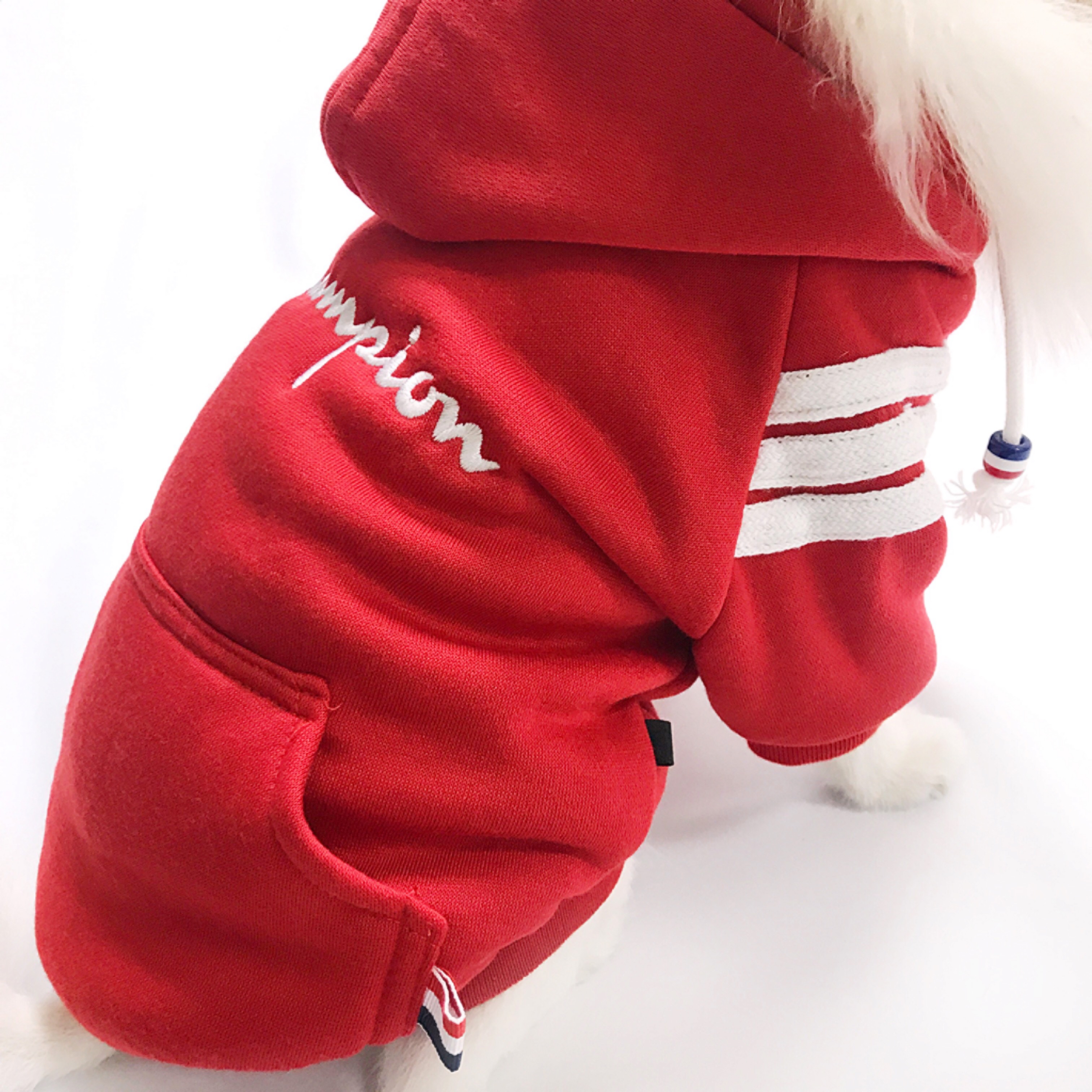 NEW DOG FASHION Champion ST hood jumper S ~ XL Pun