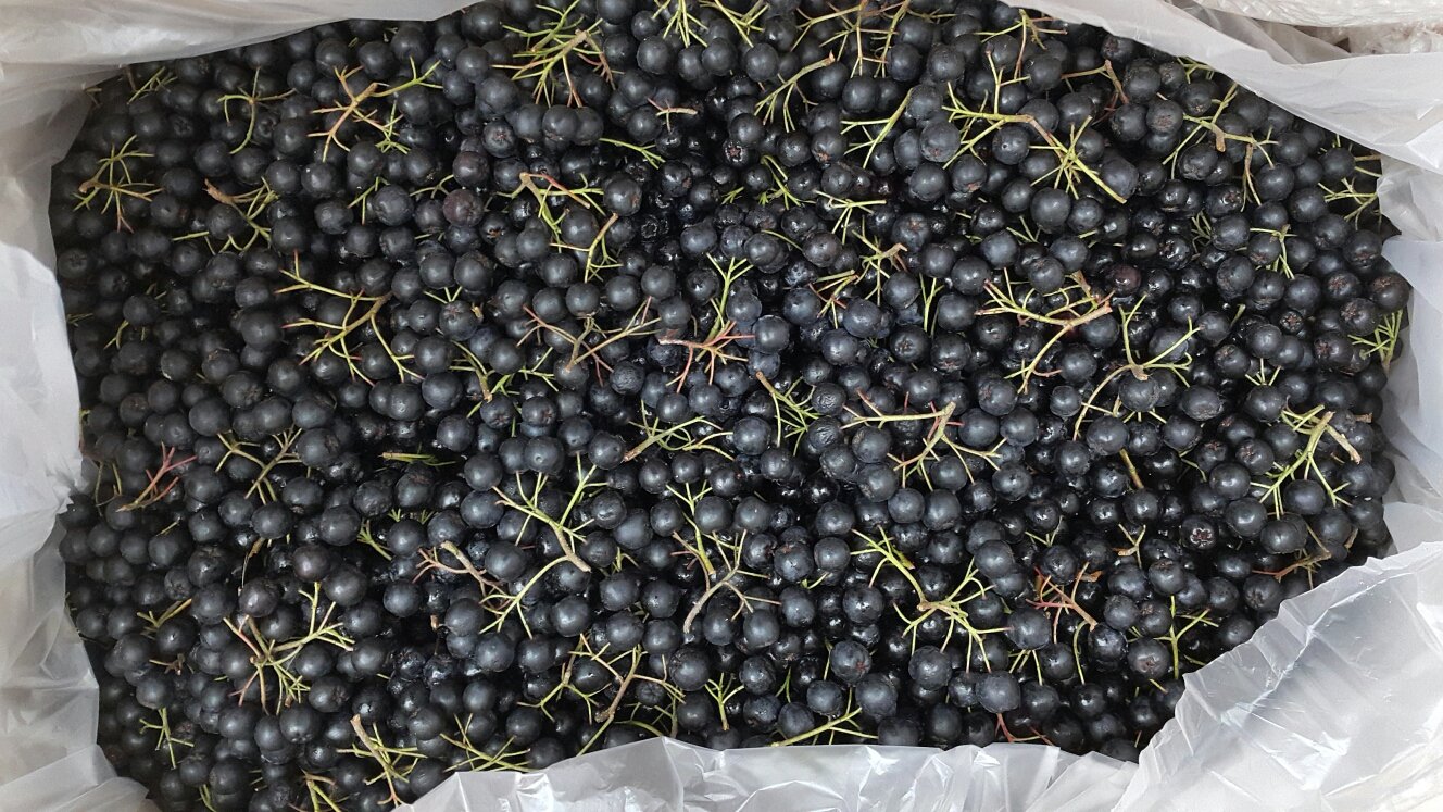 NEW HONEY CITRON TEA Organic Sugar Handmade Fruit 