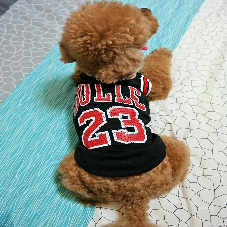 NEW DOG FASHION dog clothes sniff star shape all-i