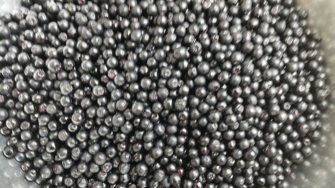 NEW HONEY CITRON TEA Organic Sugar Handmade Fruit 