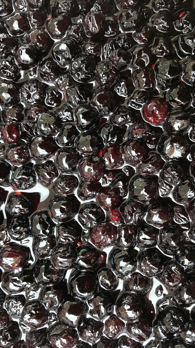 NEW HONEY CITRON TEA Organic Sugar Handmade Fruit 