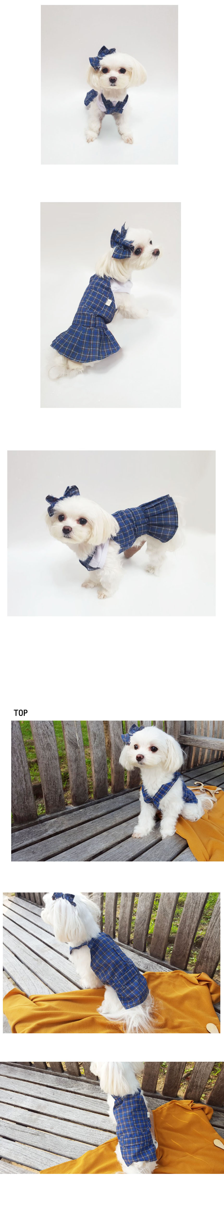 NEW DOG FASHION Thiorio Blue Check Top &amp One Pi