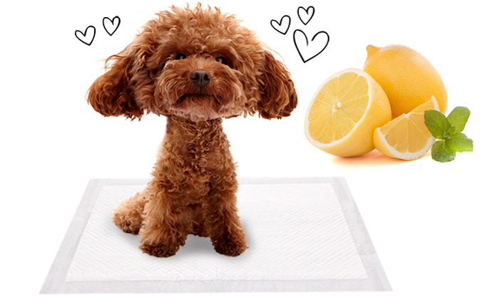 Domestic one-piece stall dog puppies 15g 400 sheet