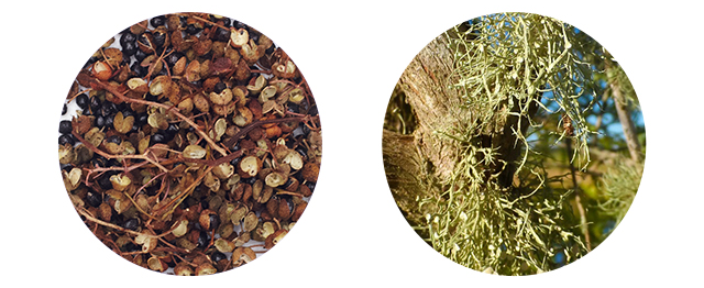 1 + 1 Baby Home Doctor Daily Lotion 300ml Infant N