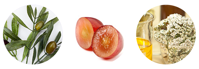 1 + 1 Baby Home Doctor Daily Lotion 300ml Infant N