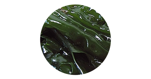 1 + 1 Baby Home Doctor Daily Lotion 300ml Infant N