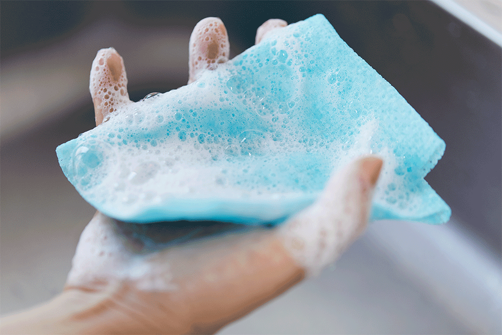 Scrubber Dish Washing Home Toner I am a rough loof