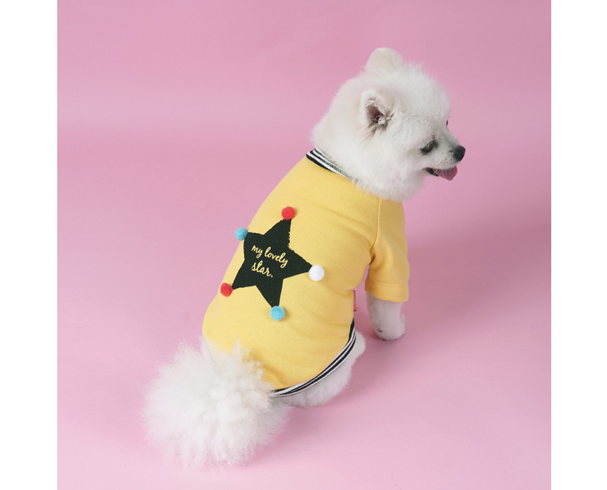 NEW DOG FASHION Unusual dog clothes Pet dog clothi