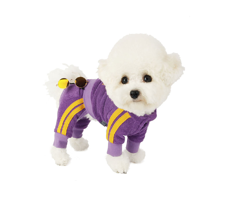 NEW DOG FASHION 리틀콜린 Let’s Get It All In