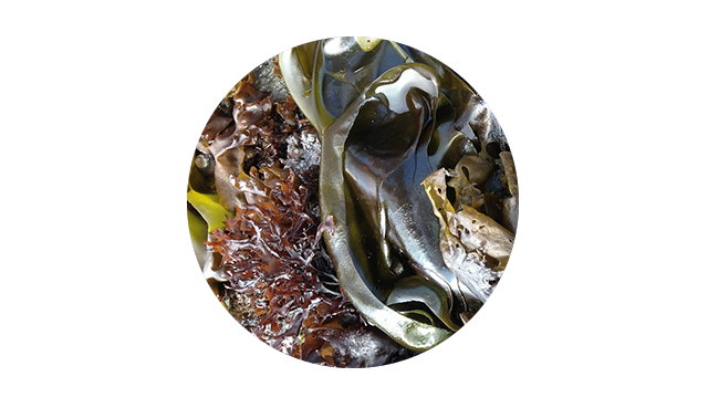 1 + 1 Baby Home Doctor Daily Lotion 300ml Infant N